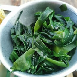 สาหร่ายวากาเมะ