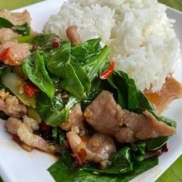 แมวเหมียวอาหารตามสั่ง