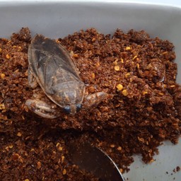 นรกแมงดา