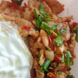 ข้าวหมูชิ้นผัดพริกเกลือ