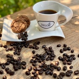 EARTH STORIES craft chocolate cafe'