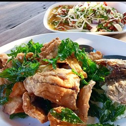 กะพงสมุนไพร