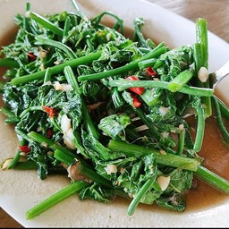 ผัดยอดมะระไฟแดง/น้ำมันหอย