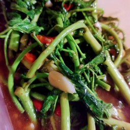 กระเฉดไฟแดง