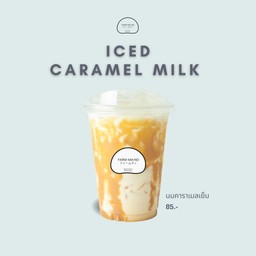 นมคาราเมลเย็น Iced Caramel Milk