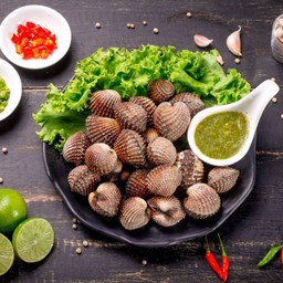 หอยแครง