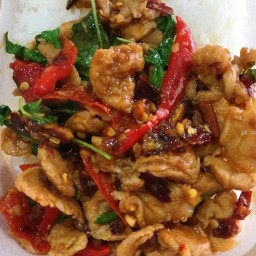 กะเพราหน้าบ้าน