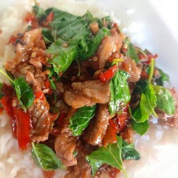 กระเพราเนื้อสด (กับข้าว)