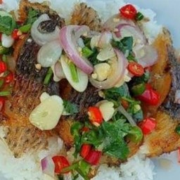 ร้านข้าวปลาแกะ หนองแค