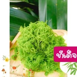 High Station -ฮายสเตชั่น