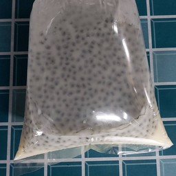 นำเต้าหู้เม็ดแมงลัก