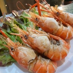 กุ้งทองคำ332