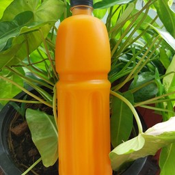 ร้าน กะเพรารสเด็ด