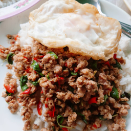 กระเพราเก้ง