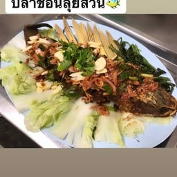 ปลาช่อนลุยสวน