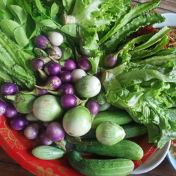 พริกหยวกกวาง