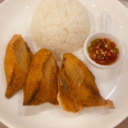 ข้าวปลานิลแดดเดียว
