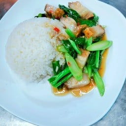 ข้าวคะน้าหมูกรอบ