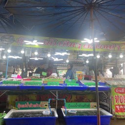 สายชลซีฟู้ด