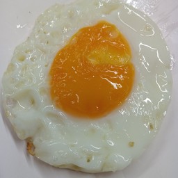 ไข่ดาว