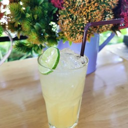 น้ำผึ้งมะนาวเย็น/Honey Lemon