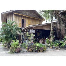 The Shadowplay Cafe (เล่นเงา)