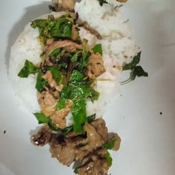 กระเพราหมูชิ้นราดข้าว