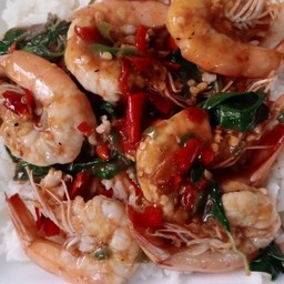 กระเพรากุ้ง