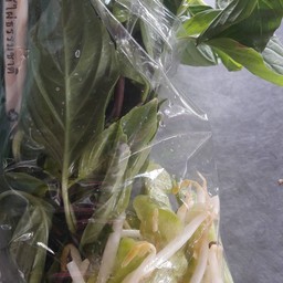 เพิ่มผัก