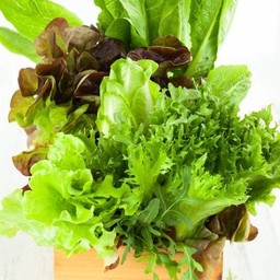 หมูย่างปลาร้าบ้านดำ