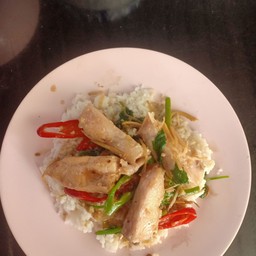 ผัดขึ้นฉ่ายปลาทับทิม ราดข้าว