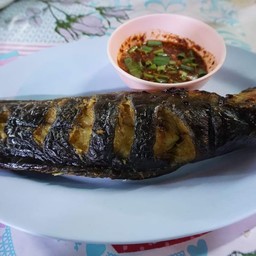 ปลาดุกย่าง