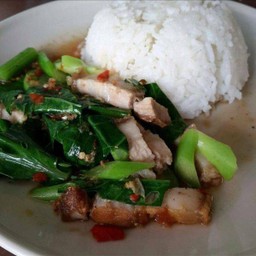 ข้าวราดคะน้าหมูกรอบ