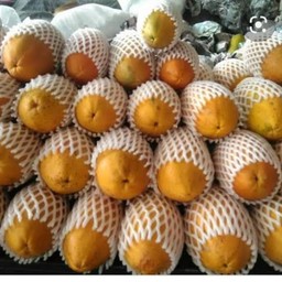 มะละฮอนแลนด์ 1กิโลกรัม 1ลูก