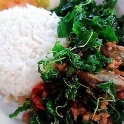 ข้าวราดไข่เยี่ยวม้ากระเพรากรอบ