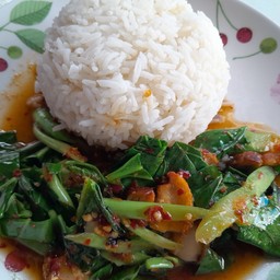 คะน้าหมูกรอบราดข้าว