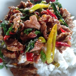 กระเพราเนื้อราดข้าว