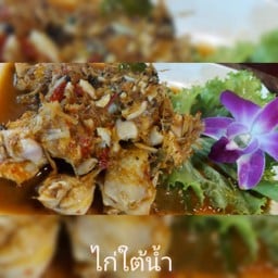 ไก่ใต้น้ำ
