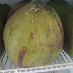 มะพร้าวน้ำหอมบ้านแพ้ว