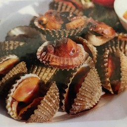 หอยแครงลวก