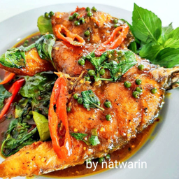 กระพงผัดพริกแกง