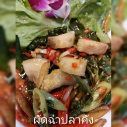 ผัดฉ่าปลาคัง