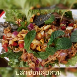 ปลาช่อนลุยสวน
