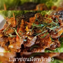 ปลาช่อนผัดพริกขิง