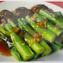 คะน้าน้ำมันหอย