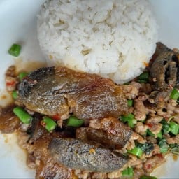 กระเพราไข่เยี่ยวม้าราดข้าว