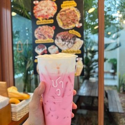ชมพูทวีป (นมชมพู)