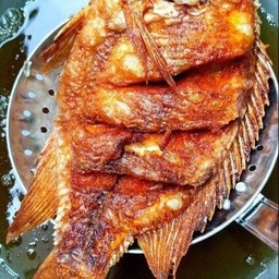 ปลานิลทอด