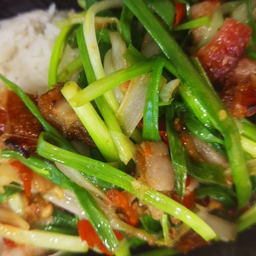 ข้าวเป็ดผัดต้นหอม 香葱烧鸭饭