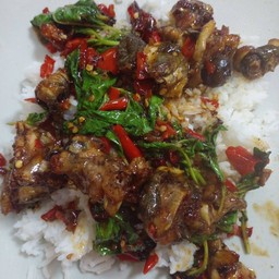 กระเพราโจรกบ ราดข้าว